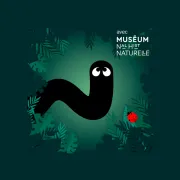 Bestioles : le lombric