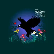 Bestioles - L'aigle noir 1800x1200