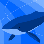 Les baleines - Olma