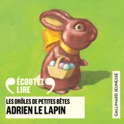 DDPB-2-adrien-le-lapin