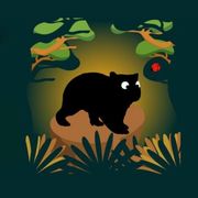 bestioles-wombat