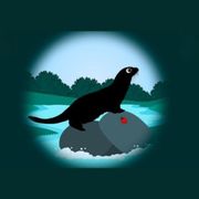 bestioles-loutre