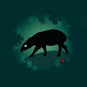 bestioles-tapir