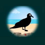 bestioles-goeland