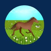 OLI-gaucho-sans-cheval