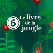 livre-jungle-6