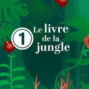 livre-jungle-1