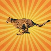 betes-de-science-guepard