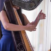 labo-nico-harpe