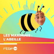maximinis-abeille