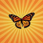 betes-science-papillon