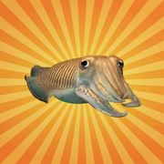 betes-science-seiche