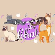 octave-et-melo-chat