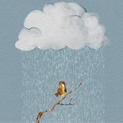 emotions-musique-dedans-timidite