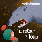 Le retour du loup - Radio France