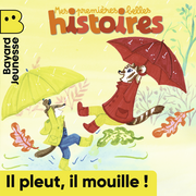 (Import: Il pleut, il mouille ! - Novembre 2024 - n° 288)