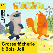 (Import: Grosse fâcherie à Bois-Joli - Mai 2026 - n° 306)