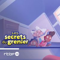les-secrets-du-grenier-collection