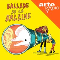 ballade-de-la-baleine-collection
