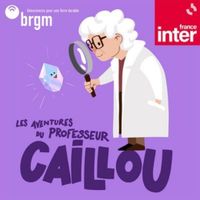 professeur-caillou-collection