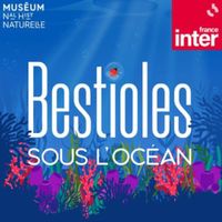 bestioles-ocean-collection