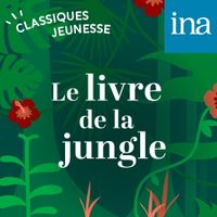 livre-jungle-collection