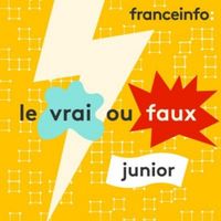 vrai-faux-junior-collection