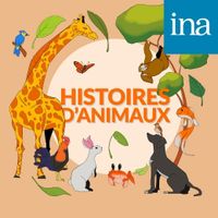 histoires d'animaux-collection
