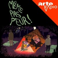 arte-meme-pas-peur-collection