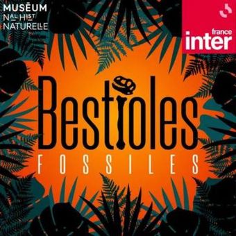 Bestioles fossiles - collection