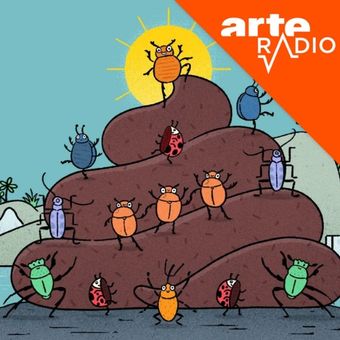 Jojo-le-scarabee-arte-collection