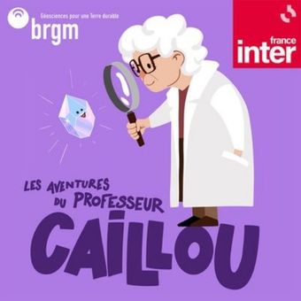 professeur-caillou-collection