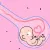 Notre dossier de la semaine est consacré à la Fécondation In Vitro à l’occasion de la naissance il y a 40 ans du premier bébé-éprouvette en France.