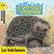 Animaux du monde hérisson