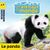 Animaux du monde panda