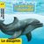 Animaux du monde dauphin