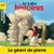 BH géant des pluies