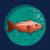 OLI-dernier-poisson
