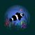 bestioles-poisson-clown