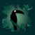 Bestioles-Toucan