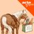 le-jour-ou-poneys-courses
