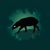 bestioles-tapir