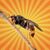 betes-de-science-frelon