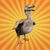 betes-de-science-dodo