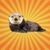 betes-de-science-loutre